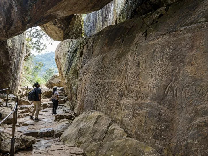 Edakkal Caves Wayanad Tourist Guide: Neolithic Rock Engravings, 1km Trek & Timings