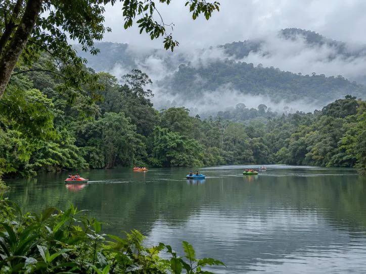 Pookode Lake Wayanad