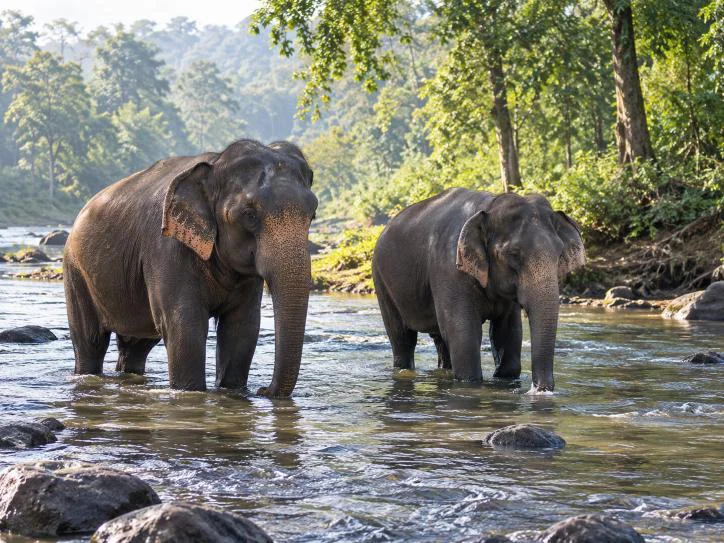 Coorg Weekend Getaway